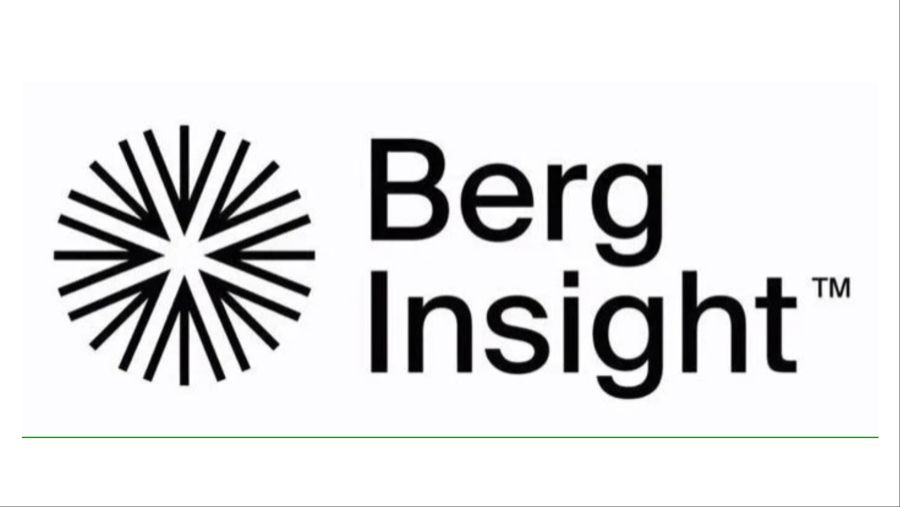 Berg Insight logo