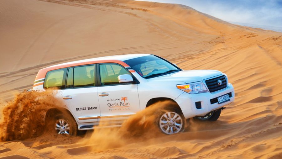Oasis Palm Tourism presents a comprehensive range of activities that are fun and unforgettable.