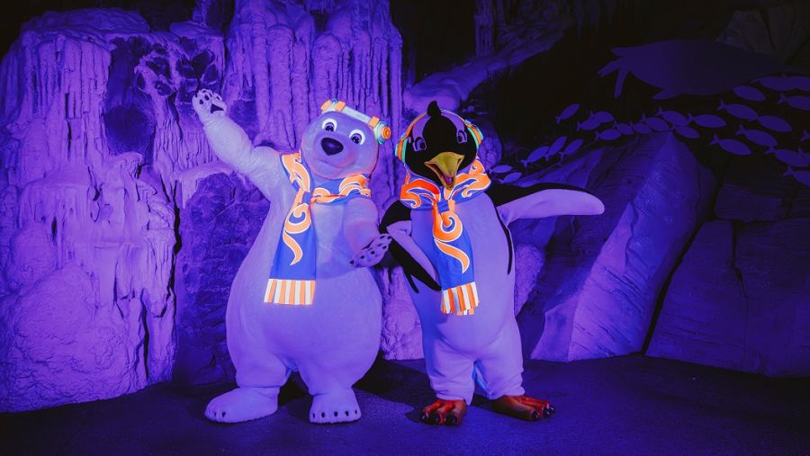 "سي وورلد جزيرة ياس، أبوظبي" تقدم لضيوفها تجارب ترفيهية استثنائية  هذا الصيف