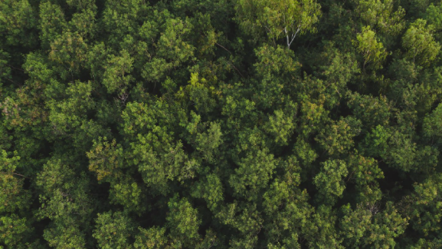 Samsung Electronics Releases 2024 Sustainability Report