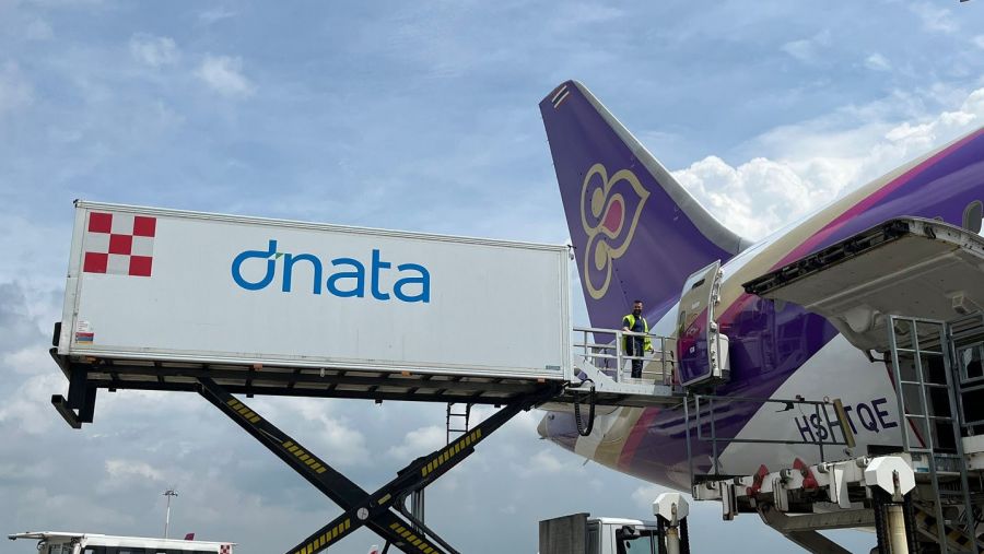 دناتا تفوز بعقد مع الخطوط الجوية التايلاندية في ميلانو