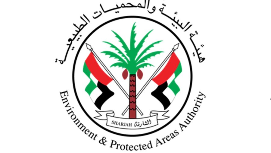 "بيئة ومحميات الشارقة" تستعد لتنظيم مؤتمرًا محوريًا لتطوير استراتيجية الحفاظ على النمر العربي المهدد بالانقراض