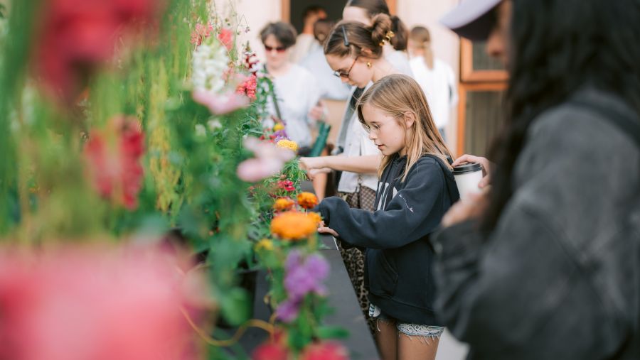 بيوت الشندغة.. فضاءات إبداعية في "سكة للفنون والتصميم 13"