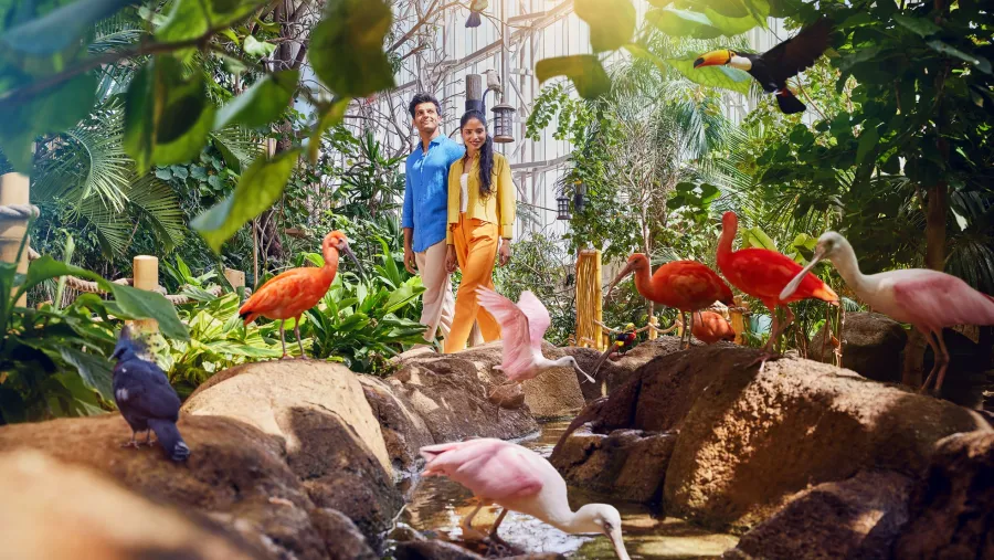 SeaWorld Yas Island, Abu Dhabi Announces New SeaBloom Celebration with Exclusive In-Park Experiences
