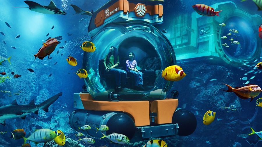 Embark on a Summer of Adventure Where Guests Learn, Explore and Discover at SeaWorld® Yas Island, Abu Dhabi