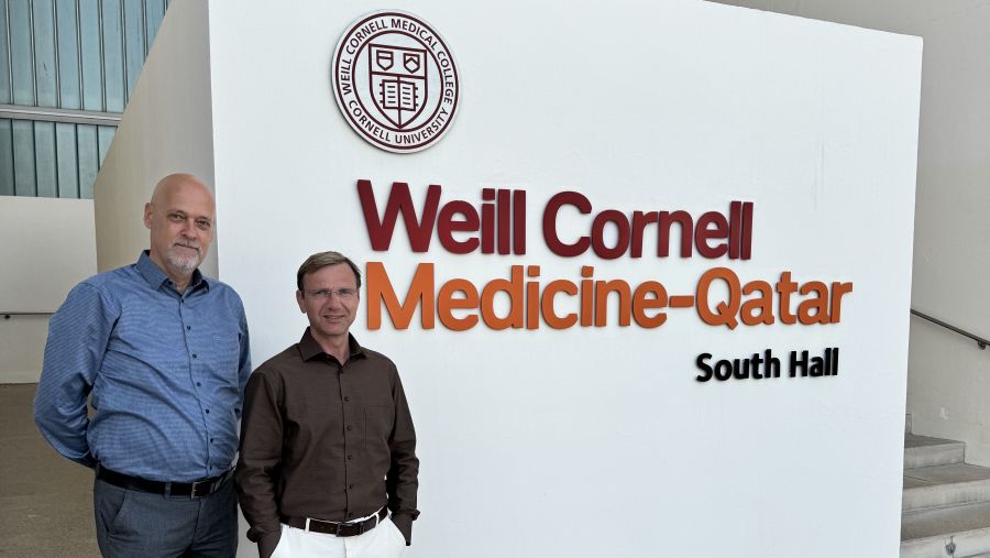 WCM-Q study probes use of nanoparticles for human protein analysis