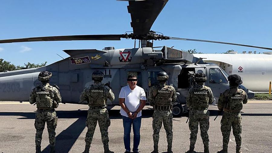 Audias Flores Silva, El Jardinero