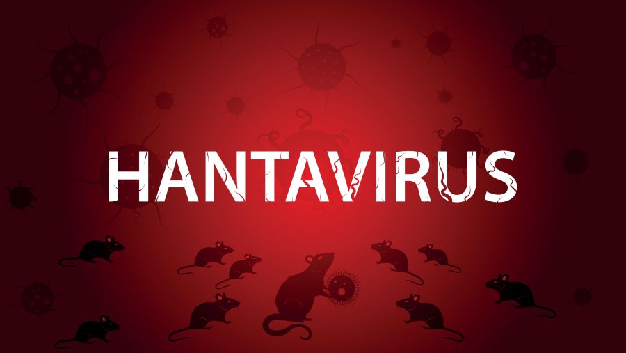 Hantavirus disease