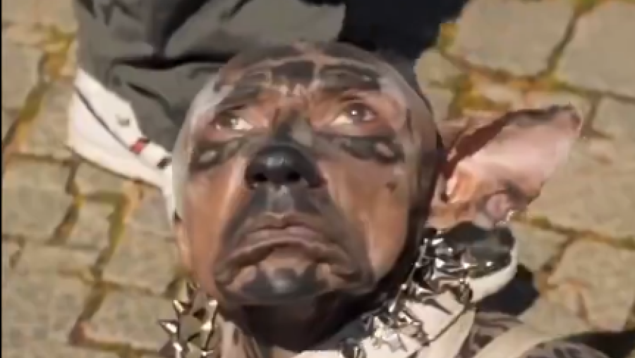 $260 Million to become a dog? Viral Japanese transformation sparks debate