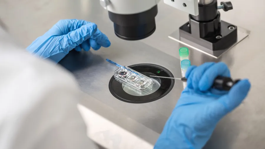 IVF in the MENA Region 