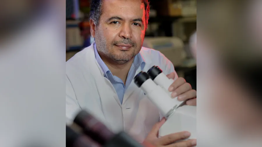 WCM-Q Researchers Investigate Key Protein That Helps Explain How Obesity Leads to Type-2 Diabetes
