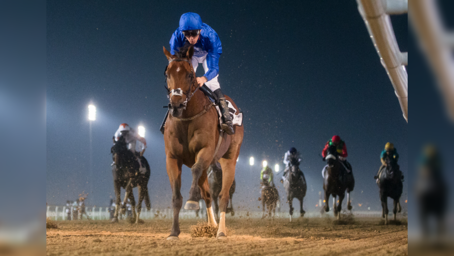 Dubai Racing Club and Dubai Equestrian Club set to host the Dubai Equestrian Procurement Forum on 23 October