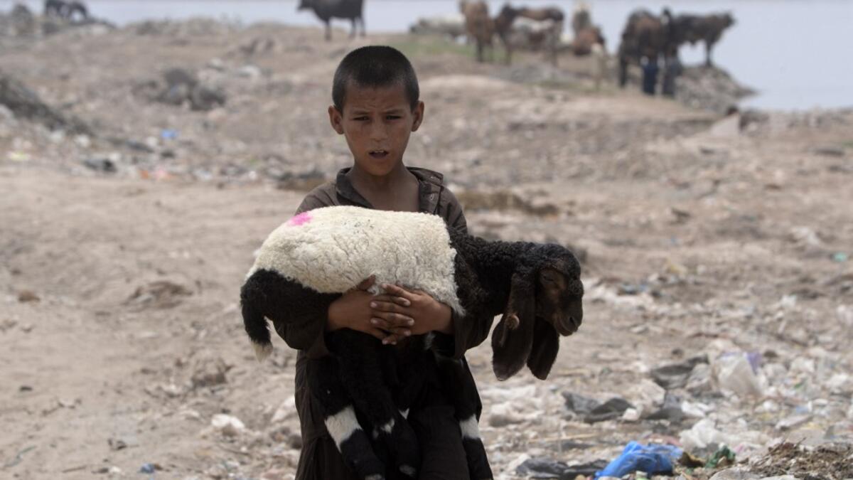 An Afghan refugee boy carries a sheep near his makeshift house in Lahore on June 19, 2019, ahead of World Refugees Day. World Refugee Day is observed June 20 each year internationally to raise awareness of the situation of refugees throughout the world. (ARIF ALI / AFP)