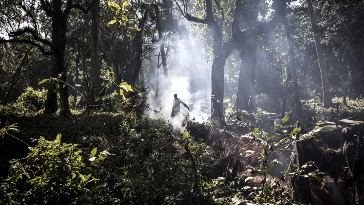 For the last three weeks the FARDC have been fighting in an offensive operation against a militia in the Wago Forest in the Djugu district of Ituria Province. Attacks by this militia and inter-communal fighting between the Lendu and Hema communities have displaced over 300,000 people so far. John WESSELS / AFP