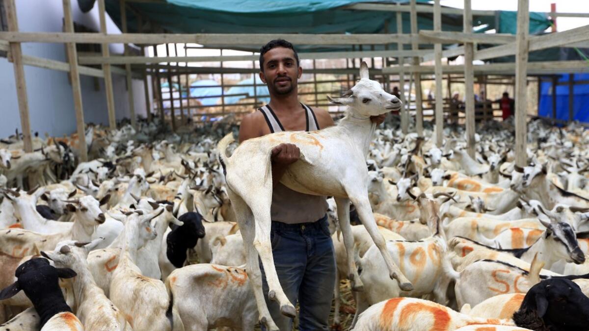 Yemeni men hold a goat at a livestock market in the capital Sanaa on August 6, 2019, as people buy provisions in preparation for the Eid al-Adha celebrations, known as the "big" festival. MOHAMMED HUWAIS / AFP