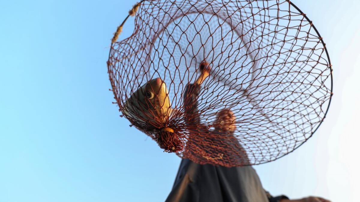 An Egyptian Fisherman holds a fishing net on the waters of the Pharaonic Sea in the village of Kafr Fisha, province of Monufia, on August 13, 2019. The "Pharaonic Sea" is the name of a large water body in the province of Monufia, an area of 2500 acres and overlooking 50 villages. Mohamed el-Shahed / AFP
