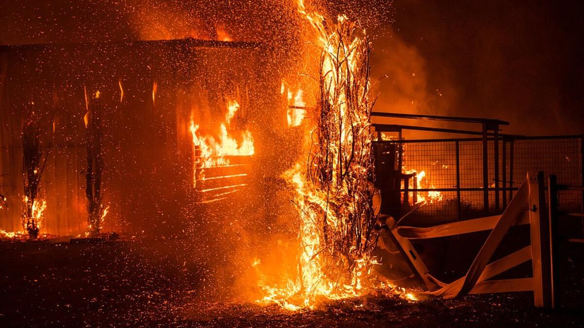 Fire and fury: Flames ravage a farm structure in Windsor where the Kincade Fire was only 15 per cent contained last night and may not be fully under control until the second week of November. (AFP)