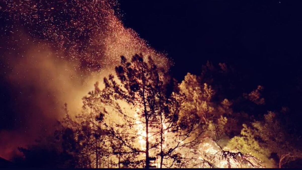 A massive fire in the Chouf village of Meshref spread to a nearby university and elementary school Monday. (Twitter)