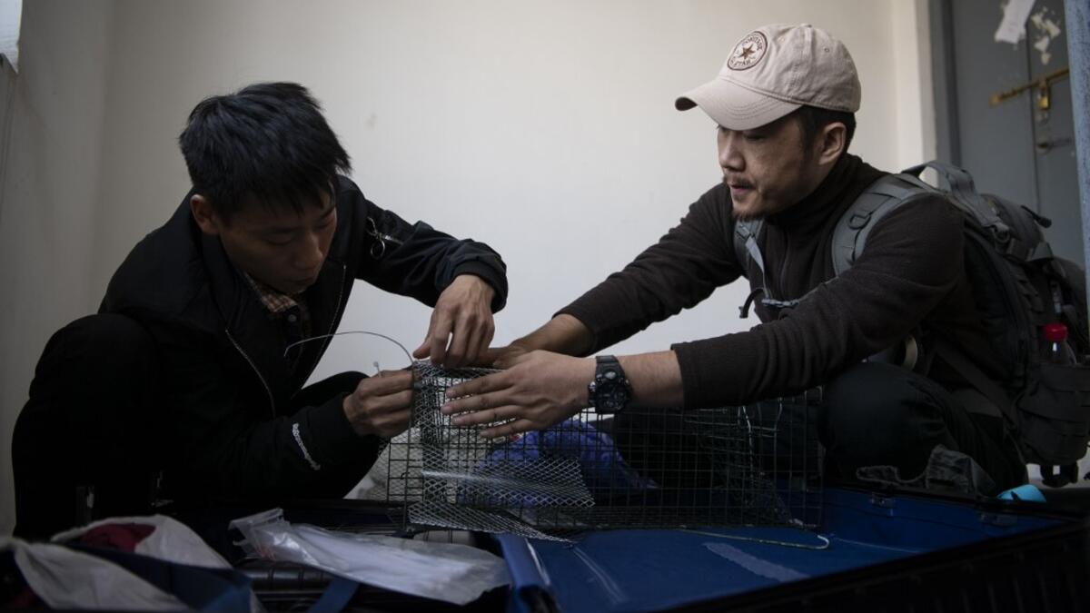 This photo taken on October 23, 2019 shows pet detective Sun Jinrong (R) and his assistant preparing a trap as they search for a missing cat in a residential compound in Beijing. Private sleuth Sun Jinrong brings heat detectors, tiny surveillance cameras, and a blowdart loaded with a tranquiliser to his search for one desperate client's missing loved one: A cat named Duoduo.  NOEL CELIS / AFP