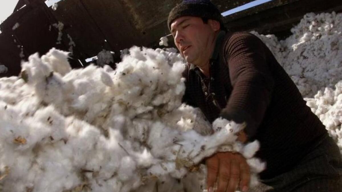 Uzbekistan has nearly eliminated forced labour from its cotton industry (Twitter)