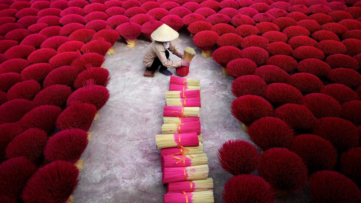 This picture taken on January 3, 2019 shows a Vietnamese woman collecting incense sticks in a courtyard in the village of Quang Phu Cau on the outskirts of Hanoi. In Vietnam's 'incense village', hundreds of workers are hard at work dying, drying and whittling down bamboo bark to make the fragrant sticks ahead of the busy lunar new year holiday. Manan VATSYAYANA / AFP