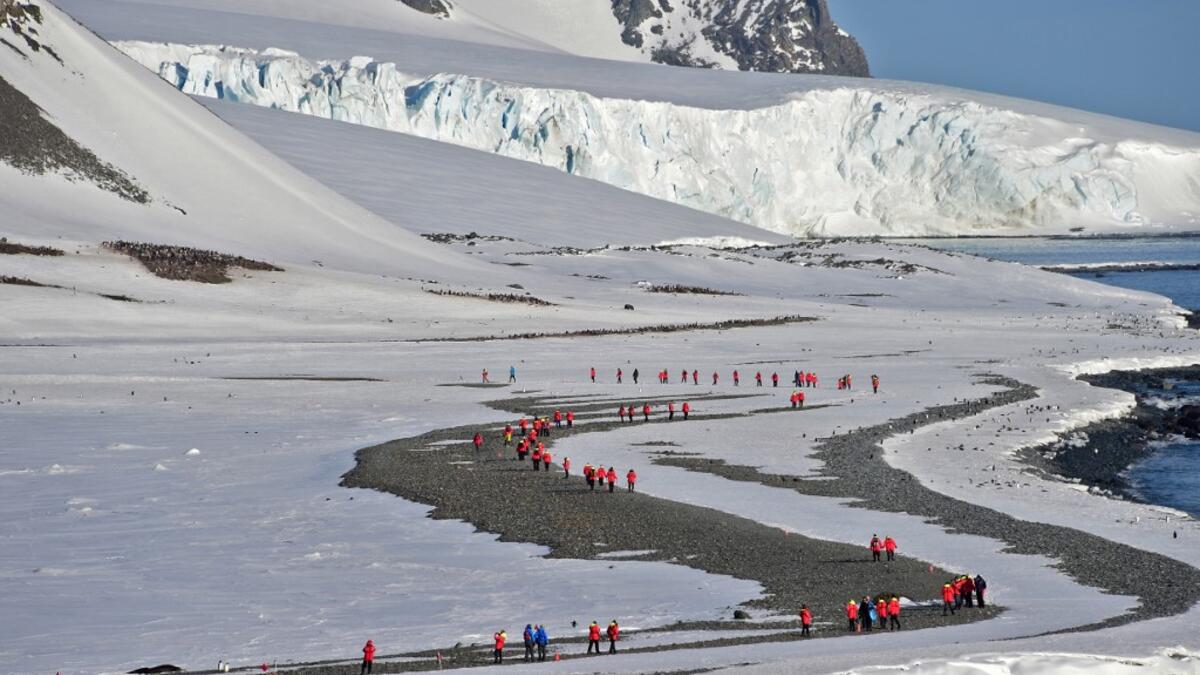 Tourists visit Yankee Harbour in the South Shetland Islands, Antarctica, on November 06, 2019. Johan ORDONEZ / AFP