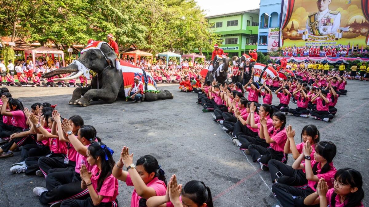 Elephants dressed in Santa Claus costumes perform during a gift presentation to schoolchildren during Christmas celebrations in Ayutthaya on December 23, 2019. Wearing red and white hats and a string of bells, Thai elephants passed out Christmas gifts to hundreds of schoolchildren on Monday despite growing criticism over using the animals in performances. The annual festive event is organised by a nearby elephant park, whose mahouts or handlers started in the early morning dressing the animals. Thailand is