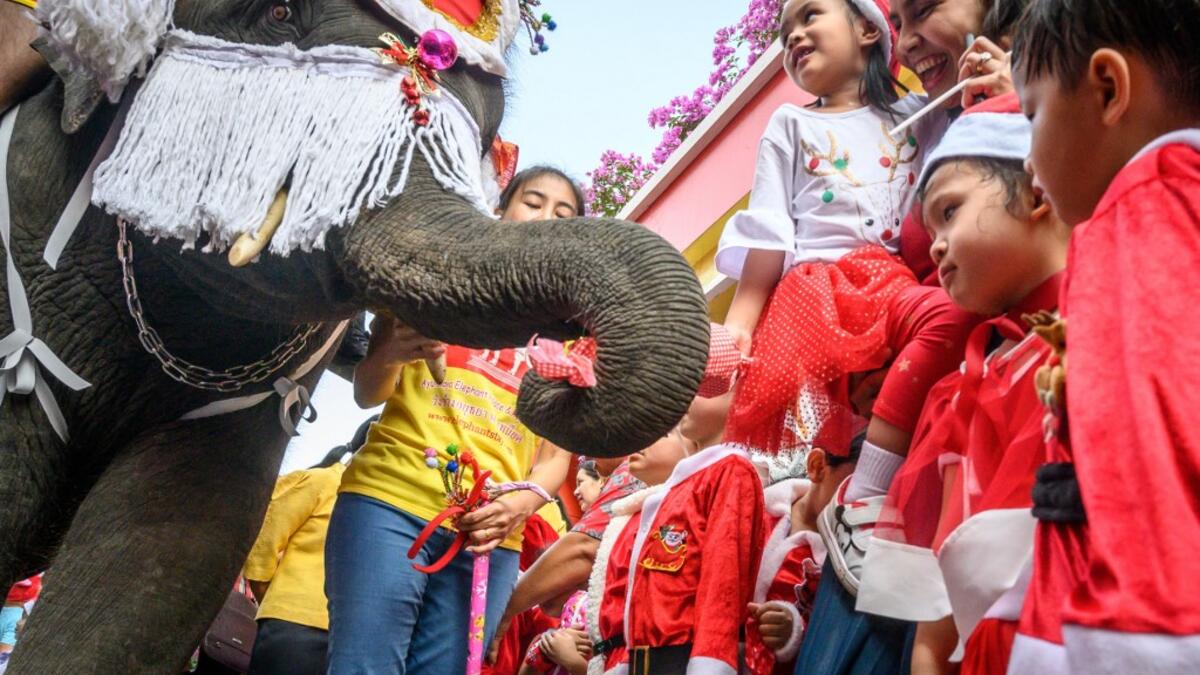 An elephant dressed in a Santa Claus costume presents gifts to schoolchildren during Christmas celebrations in Ayutthaya on December 23, 2019. Wearing red and white hats and a string of bells, Thai elephants passed out Christmas gifts to hundreds of schoolchildren on Monday despite growing criticism over using the animals in performances. The annual festive event is organised by a nearby elephant park, whose mahouts or handlers started in the early morning dressing the animals. Thailand is largely Buddhist