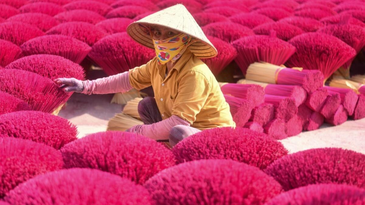 A Vietnamese woman collects dried incense sticks at a courtyard in Quang Phu Cau village on the outskirts of Hanoi on January 9, 2020 ahead of the upcoming Lunar New Year celebrations, referred to in Vietnam as Tet. Manan VATSYAYANA / AFP