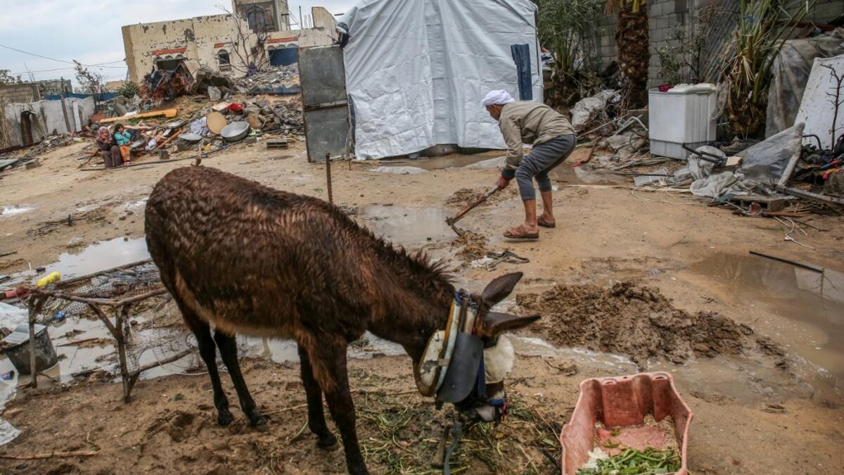 Palestinian Hammouda Abu Amra, 51, digs to divert water from entering his shack after heavy rains in Khan Yunis in the southern Gaza Strip on January 10, 2020. Abu Amra, whose house was destroyed by an Israeli air strike last November, now lives in a shack with his family of seventeen. SAID KHATIB / AFP