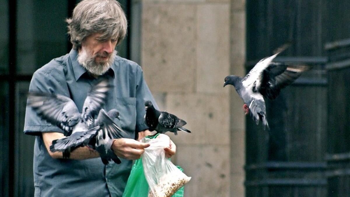 في سنغافورة لا تطعم الطيور: إذا أطعمت الطيور هناك سيعرضك ذلك لغرامة مالية.