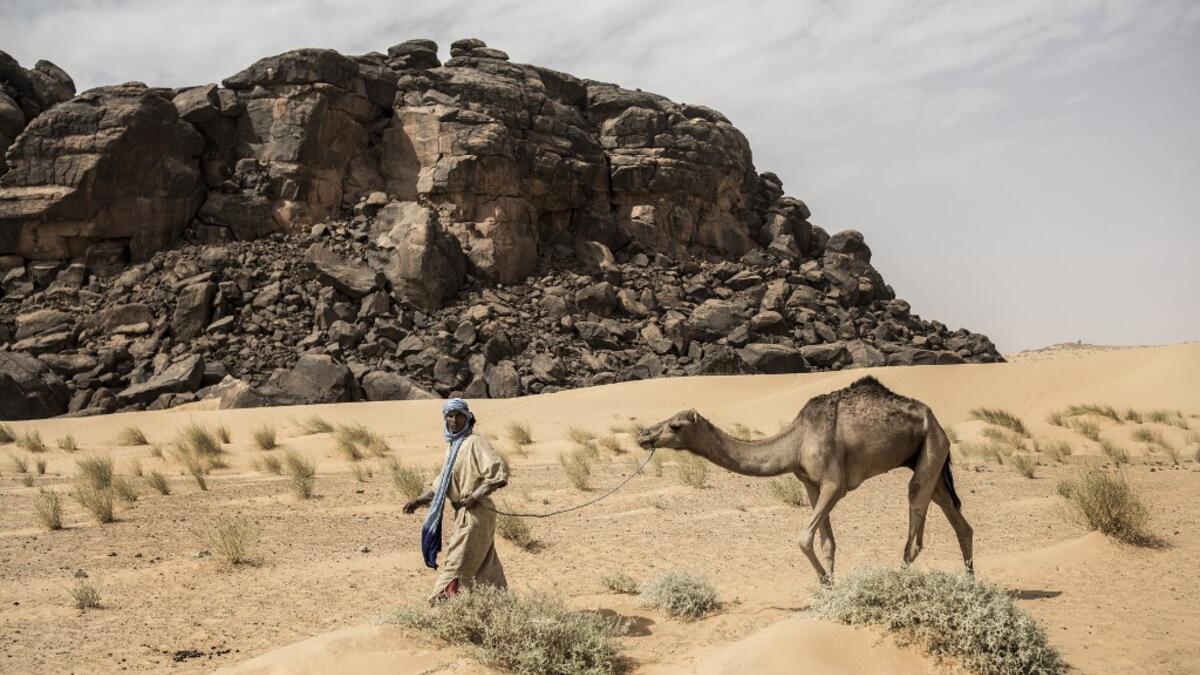Ahmed(20), from the small Nemadi(hunters) tribe in Eastern Mauritania, is seen leading a camel along the caravan route from Tichitt to Aratane in Mauritania on January 25, 2020. In the arid West African country of Mauritania, the way of life of the traditional group of hunters known as the Nemadi is slowly disappearing. JOHN WESSELS / AFP