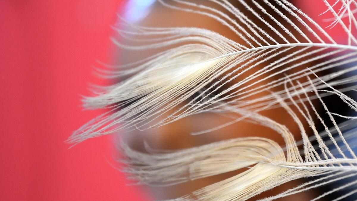 A participant prepares backstage before presenting her outfit during the Queen of the Carnival pageant contest in Santa Cruz de Tenerife, on the Spanish Canary island of Tenerife, on February 19, 2020. Gabriel BOUYS / AFP