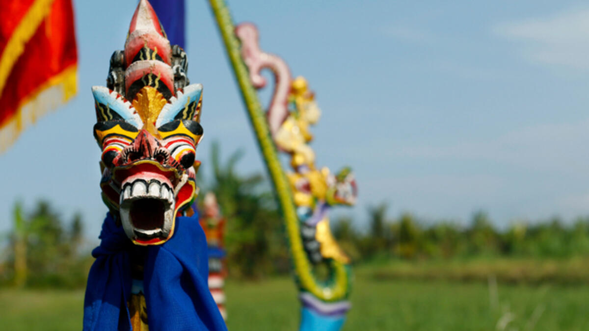 decoration of kart in bali during buffalo race festival.  (Shutterstock)