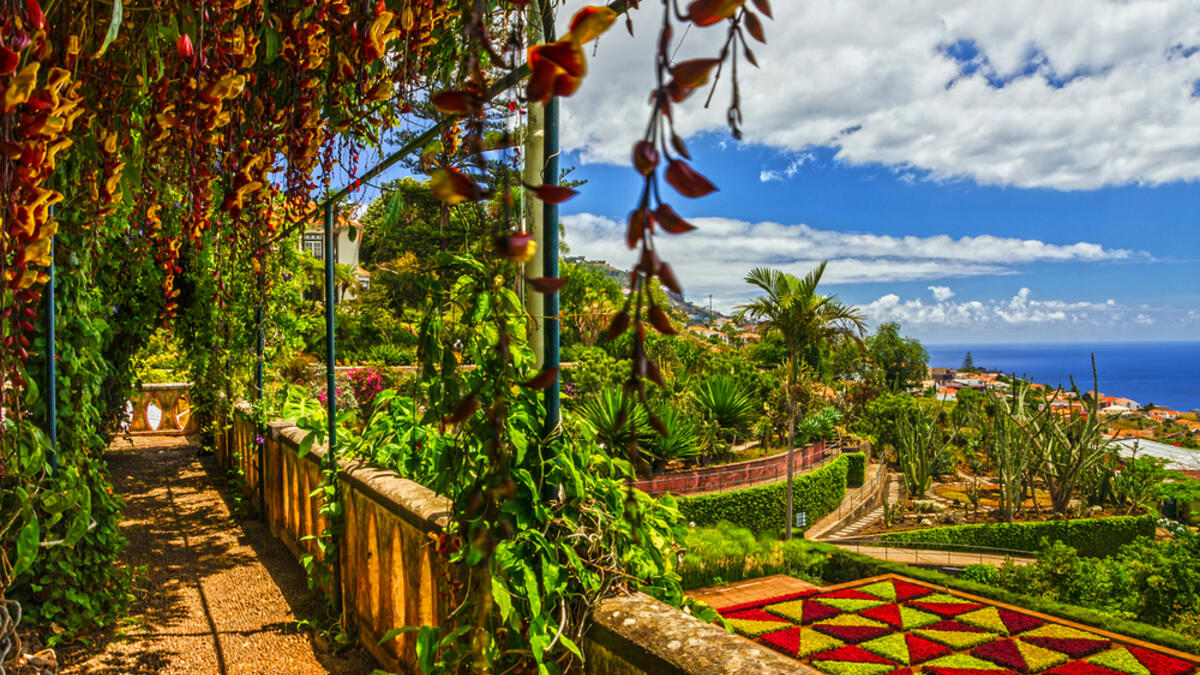 Madeira, Botanical Garden Monte, Funchal, Portugal (Shutterstock)