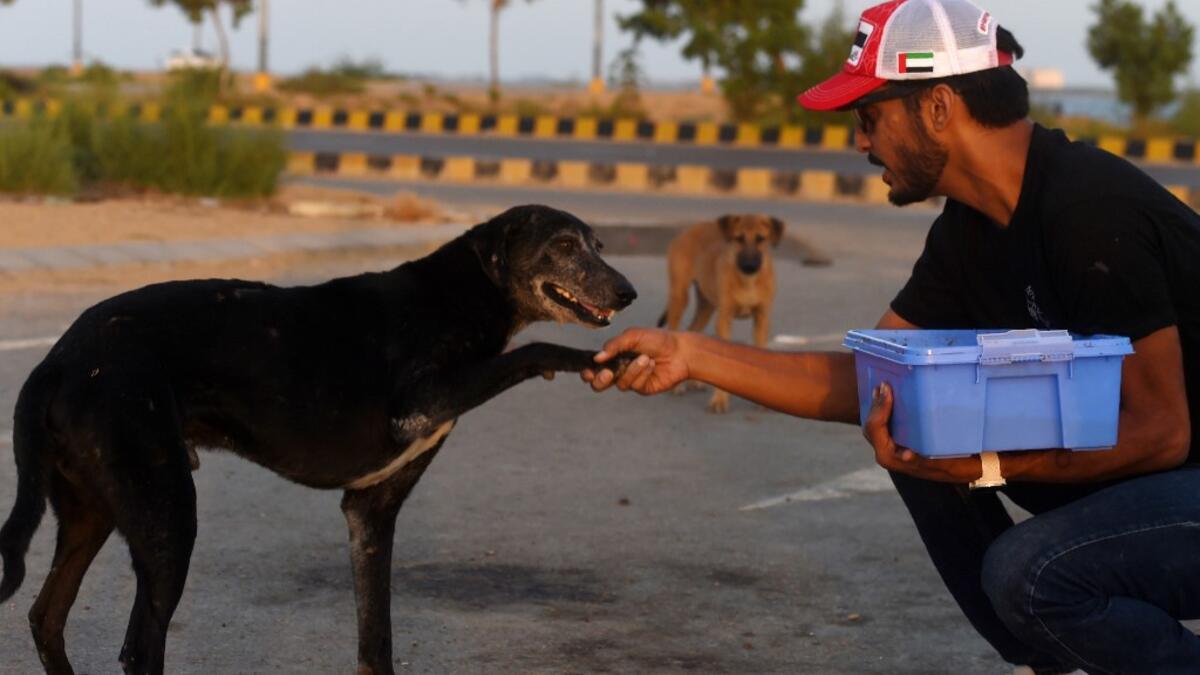 This photo taken on April 2, 2020 shows resident Ali Khurshid playing with stray dogs before feeding them on a street near Clifton beach during a government-imposed nationwide lockdown as a preventive measure against the COVID-19 coronavirus, in Karachi. Abandoned when Pakistan's largest cities went into lockdown, hundreds of caged cats, dogs and rabbits have been found dead inside pet markets hurriedly shuttered as the coronavirus spread. Animals still alive in the corner of Karachi's sprawling Empress Mar