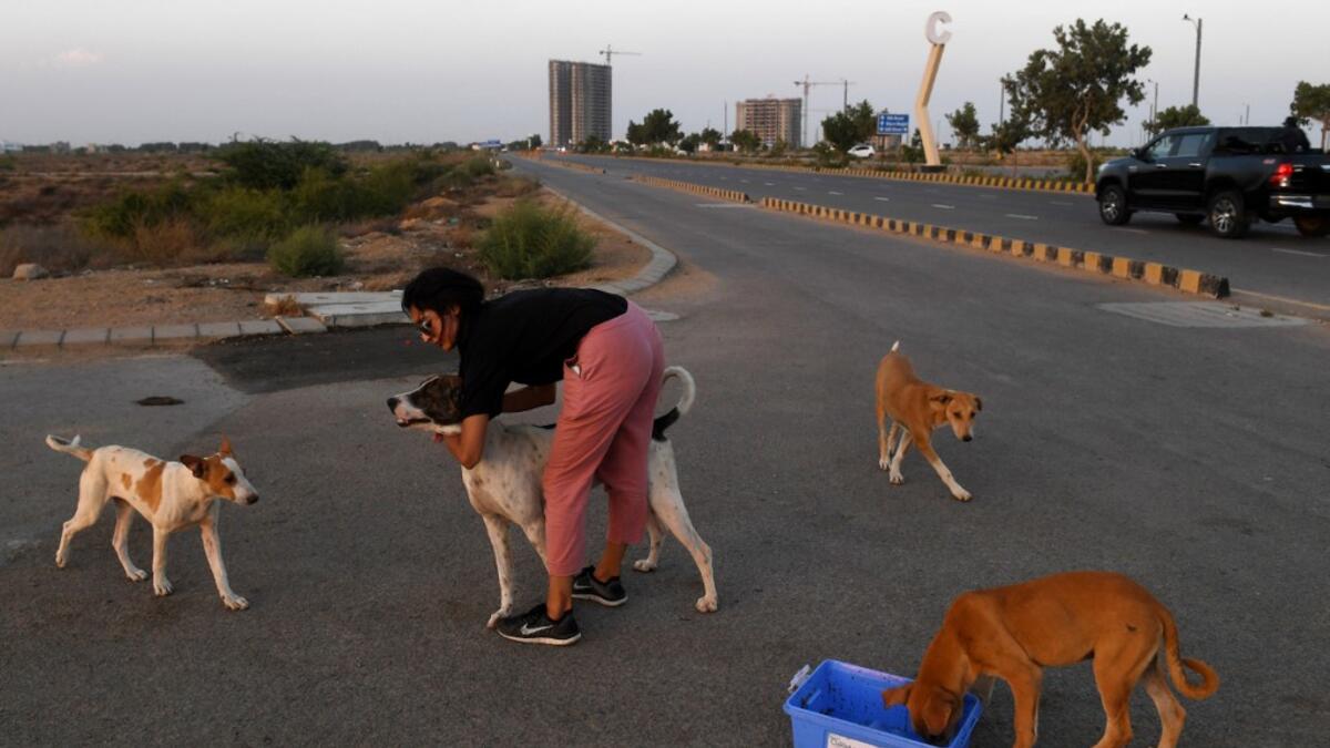 This photo taken on April 2, 2020 shows resident Noor Ali feeding stray dogs on a street near Clifton beach during a government-imposed nationwide lockdown as a preventive measure against the COVID-19 coronavirus, in Karachi. Asif HASSAN / AFP