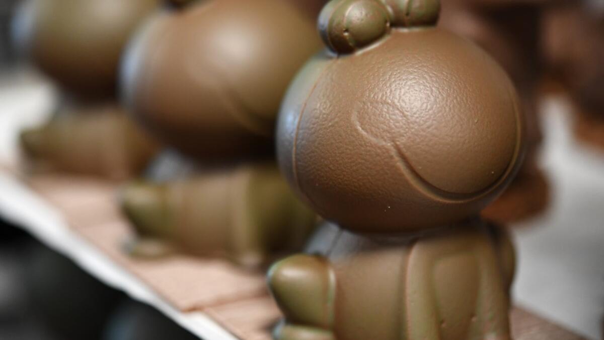 Chocolate-shaped green frogs, stand on display in the workshop 'Atelier N° 5' in La Foret-Fouesnant, western France on April 7, 2020, ahead of the Christian Festival of Easter. Fred TANNEAU / AFP