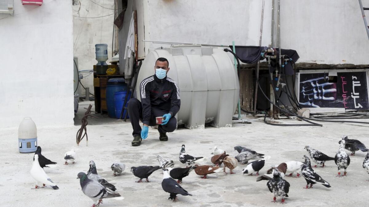 A pigeon owner, wearing personal protective equipment, feeds his pigeons on the rooftop of his building in the southern suburb of Beirut on April 11, 2020. ANWAR AMRO / AFP