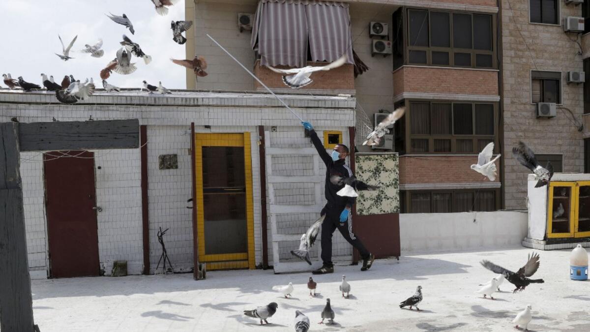 A pigeon owner, wearing personal protective equipment, trains his pigeons on the rooftop of his building in the southern suburb of Beirut on April 11, 2020. ANWAR AMRO / AFP