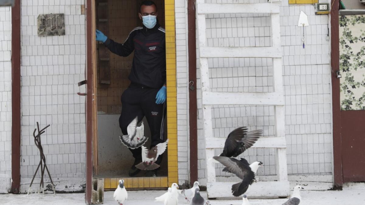 A pigeon owner, wearing personal protective equipment, lets his pigeons out of their cage on the rooftop of his building in the southern suburb of Beirut on April 11, 2020. ANWAR AMRO / AFP