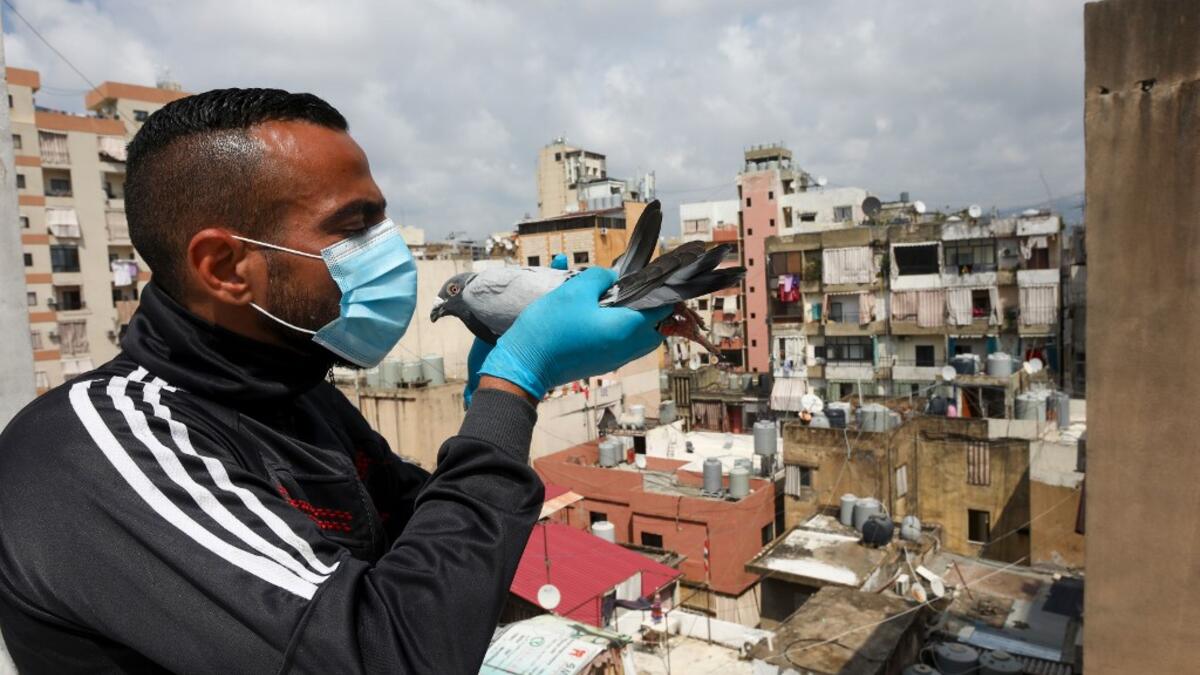 A pigeon owner, wearing personal protective equipment, poses with a pigeon on the rooftop of his building in the southern suburb of Beirut on April 11, 2020. ANWAR AMRO / AFP