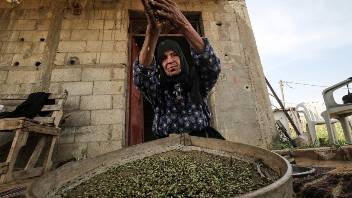 A Palestinian woman sifts lightly roasted wheat, harvested before maturity (freekeh), in Khan Yunis in the southern Gaza Strip on April 22, 2020, before being prepared to be used in a soup during the Muslim holy month of Ramadan which begins later in the week. From cancelled iftar (fast breaking) feasts to suspended mosque prayers, Muslims across the Middle East are bracing for a bleak month of Ramadan fasting as the threat of the COVID-19 pandemic lingers. The holy Muslims fasting month of Ramadan is a per