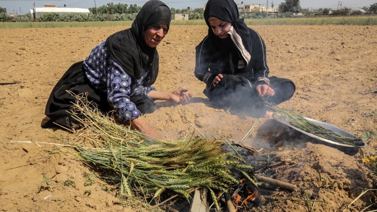 A Palestinian woman lightly roasts wheat harvested before maturity (freekeh) in Khan Yunis in the southern Gaza Strip on April 22, 2020, before being prepared to be used in a soup during the Muslim holy month of Ramadan which begins later in the week. From cancelled iftar (fast breaking) feasts to suspended mosque prayers, Muslims across the Middle East are bracing for a bleak month of Ramadan fasting as the threat of the COVID-19 pandemic lingers. The holy Muslims fasting month of Ramadan is a period for b