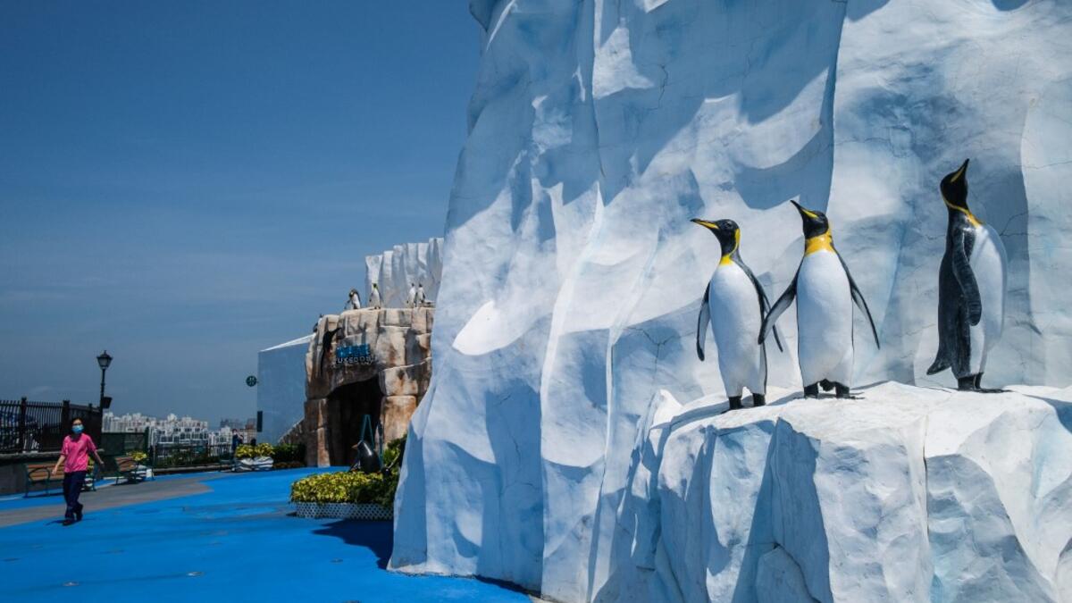 This picture taken on May 4, 2020 shows a worker walking past statues of penguins in the grounds of the currently closed local theme park, Ocean Park, in Hong Kong. Save for an absence of gawping crowds, life for the penguins of Hong Kong's Ocean Park has been much the same during the coronavirus pandemic -- but their carers have worked long shifts to keep the monochrome troupe healthy. Anthony WALLACE / AFP