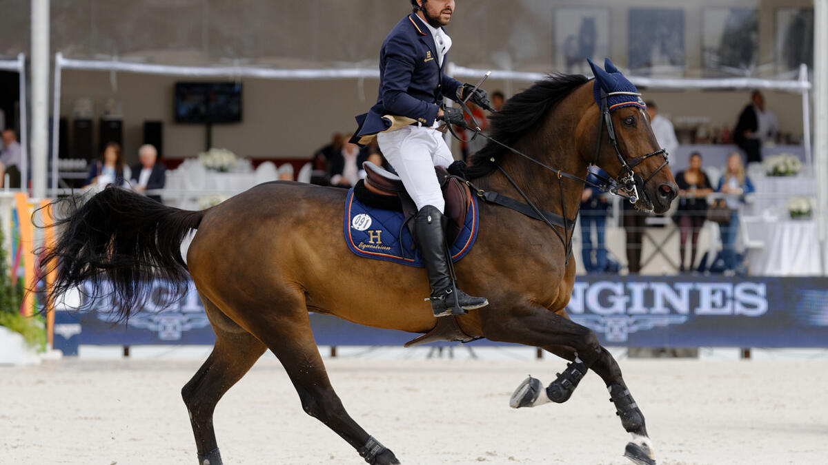 أحمد صابر حمشو: رجل أعمال ورياضي سوري من عائلة محمد حمشو.