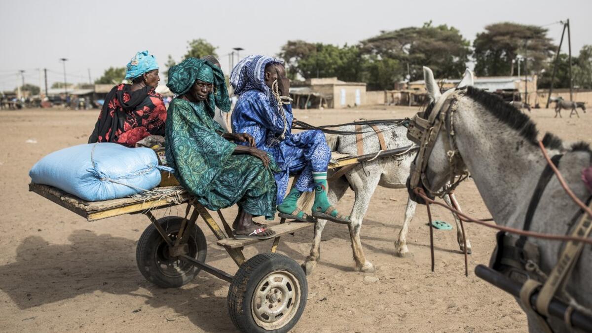 Fulani herders make their way back to their camps after trying to buy and sell goods at a unofficial herders market in Barkedji on May 28, 2020. COVID-19 coronavirus restrictions have closed down markets and regional movement, as a result Fulani herders are struggling to move to areas with more grazing land for there live stock. Closures of markets have meant that the prices for live stock has dropped by up to fifty percent, leaving the pastoralist stuck with out being able to pay for the provisions to move