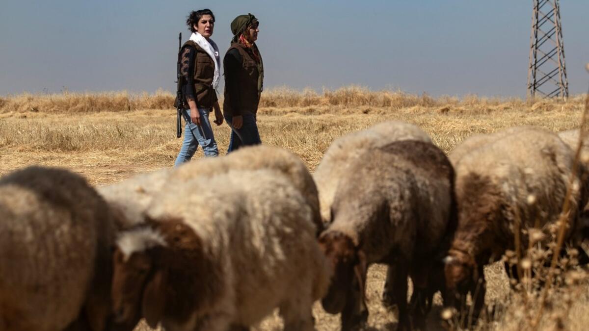 Kurdish female volunteers, from the newly formed Community Protection Forces, walk next to a herd of sheep as they patrol a wheat field, against threats by jihadists to burn the crops, during harvest season on June 13, 2020, in the countryside east of Qamishli in Syria's northeastern Hasakah province. Delil SOULEIMAN / AFP