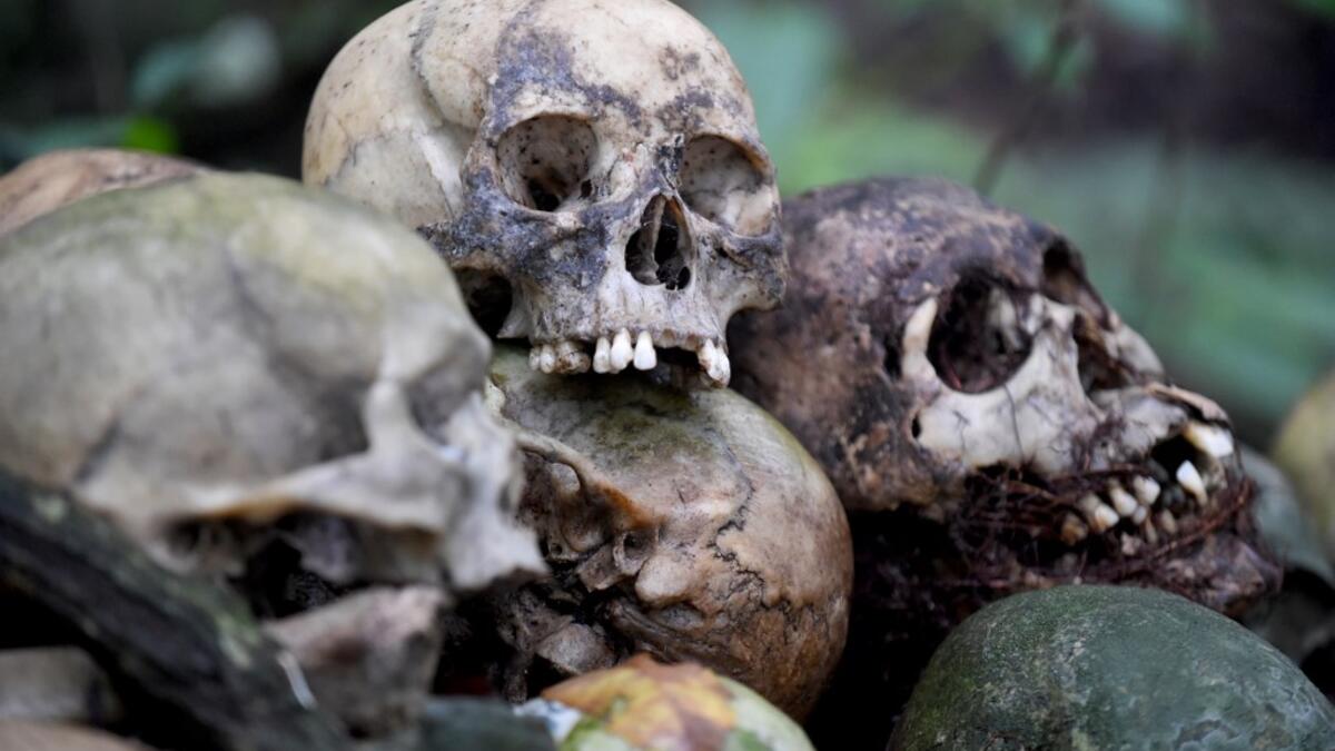 This picture taken on February 20, 2020 shows skulls at a cemetery where Bali's Trunyanese people hold open-air burials - before restrictions were implemented due to the COVID-19 coronavirus - near the village of Trunyan in Bangli Regency, near Lake Batur on Bali island. For centuries Bali's Trunyanese people have left their dead to decompose in the open air, the bodies placed in bamboo cages until only the skeletons remain -- a ritual they haven't given up -- even as the COVID-19 pandemic upends burial pra