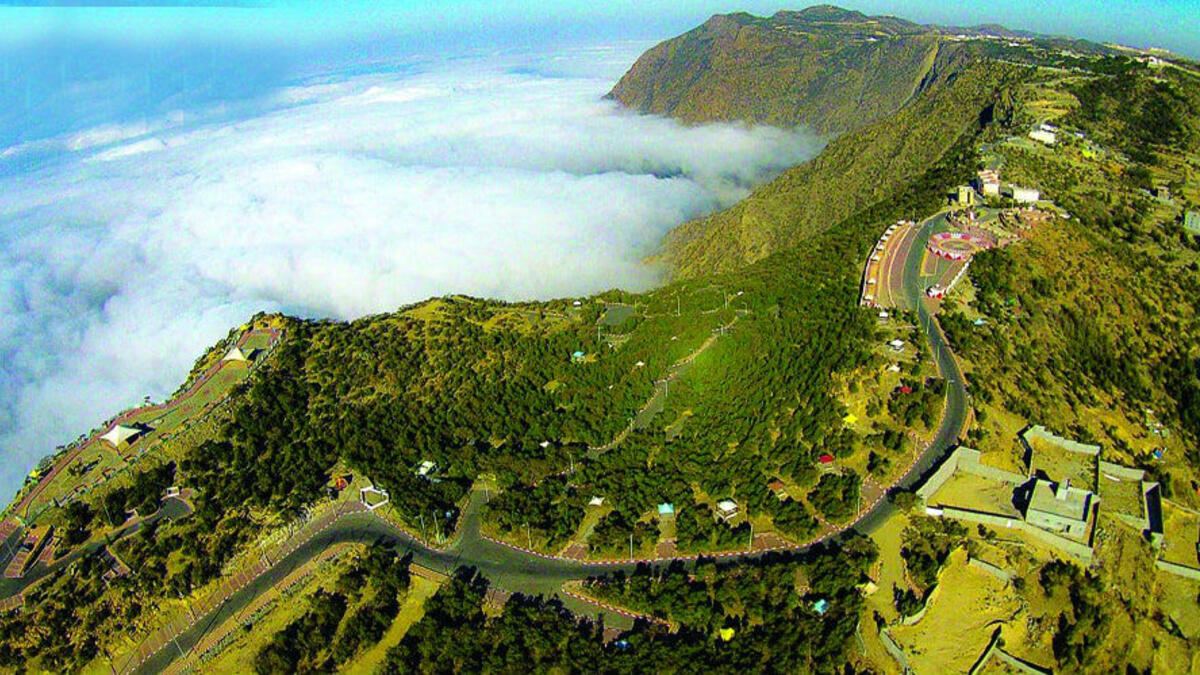 استكشف النماص: تُعرف عادة باسم مدينة الضباب، وتحيط بها الحياة الطبيعية، من المناظر الخلابة ومنتزه السحاب إلى جبل مرير الواقع إلى الشمال المليء بالحياة البرية، حيث يمكن أحيانًا رؤية كل ما بينك وبين البحر الأحمر، توقف لاستكشاف القطع التراثية والفنية والأدب العربي في متحف قصر المقر.